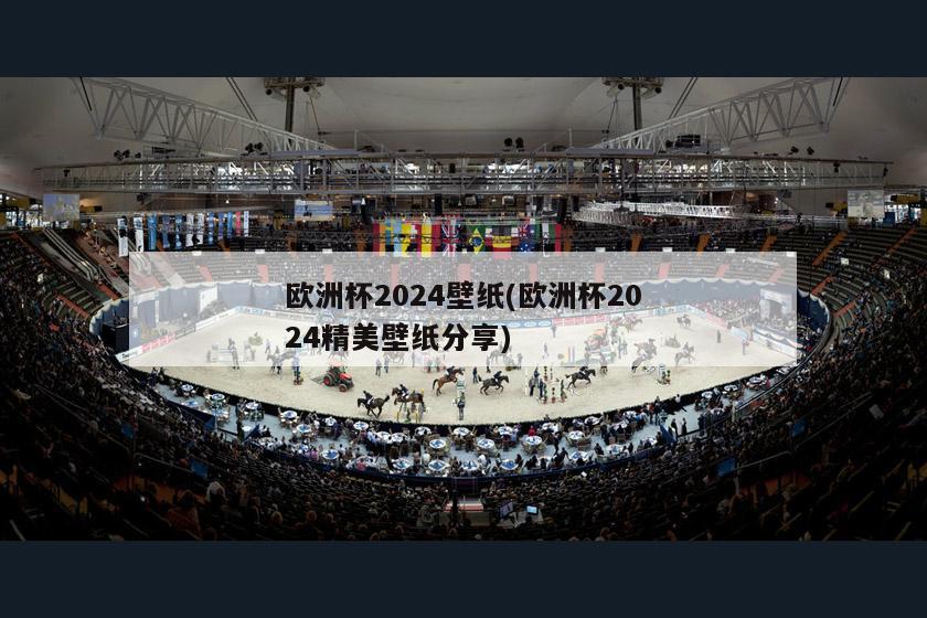 欧洲杯2024壁纸(欧洲杯2024精美壁纸分享)